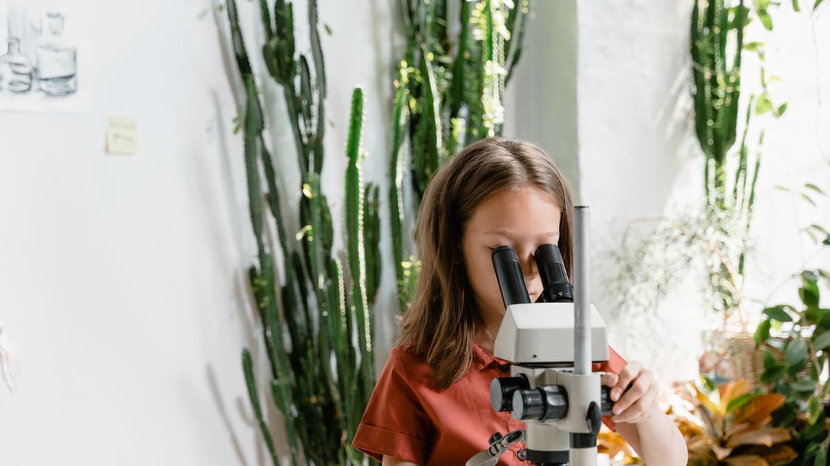 Free science kits for Hatherleigh Primary School pupils in self